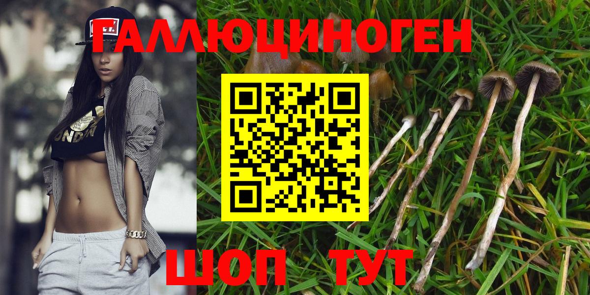 Псилоцибиновые грибы GOLDEN TEACHER Старая Купавна